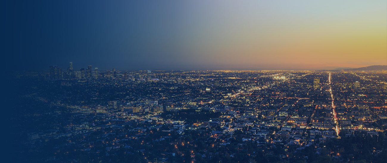 Los Angeles Skyline Cityscape